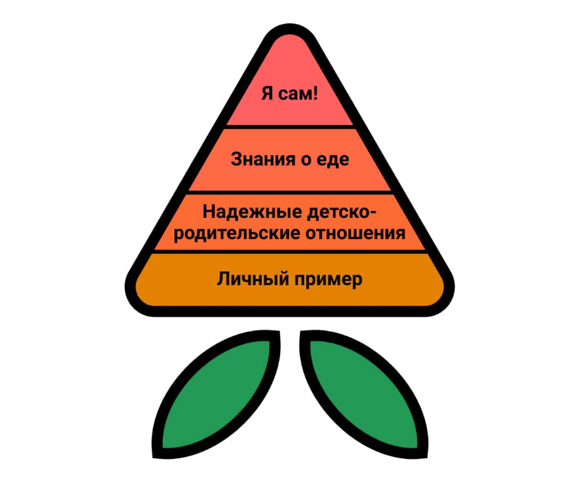 Как научить ребенка питаться правильно?